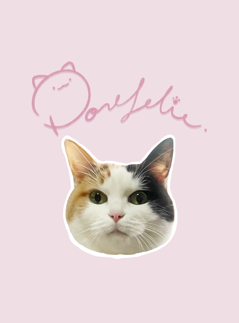 portfoliologo