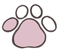 IllustratorSKILL