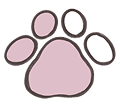 IllustratorSKILL