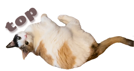 pagetop
